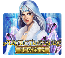 arctictreasure